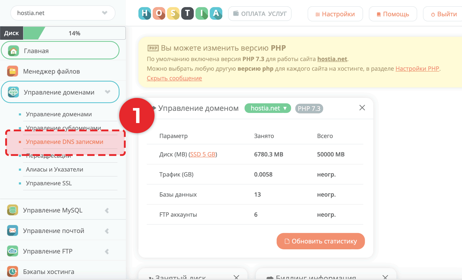 Как добавить TXT запись. Редактирование DNS домена.